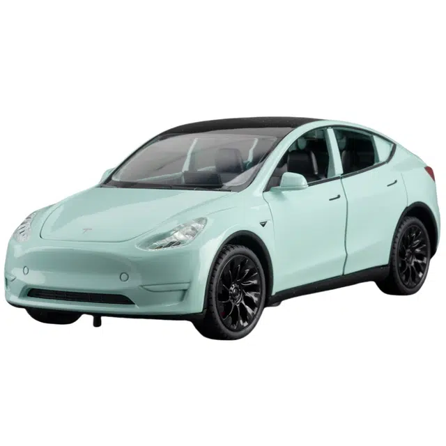 TY MODELS MODEL Y 124