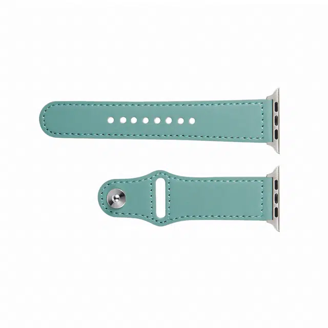 Applewatch S9S8SE76