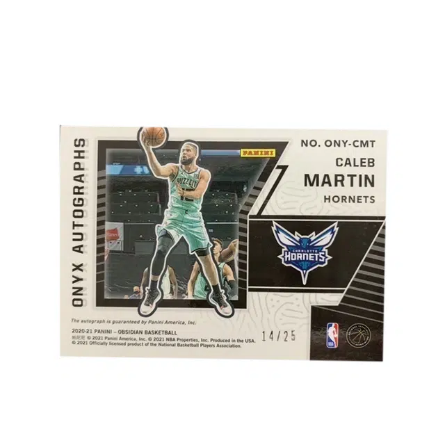 PANINI 2020-21 1425