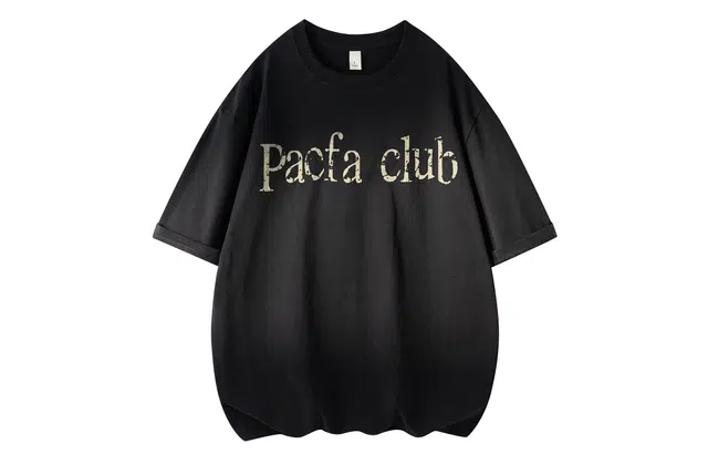 PAEFA LogoT