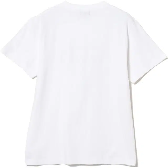 beams T