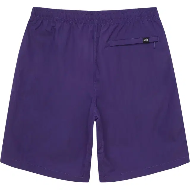 THE NORTH FACE DAILY ESSENTIAL SHORTS