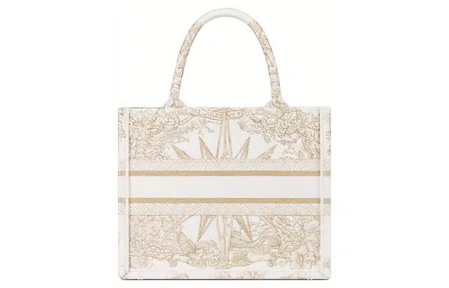 DIOR BookTote Tote