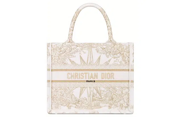 DIOR BookTote Tote