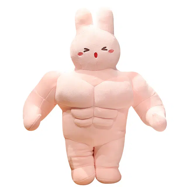 乐乐鱼 鸡肉兔兔抱枕 创意 玩偶 毛绒公仔