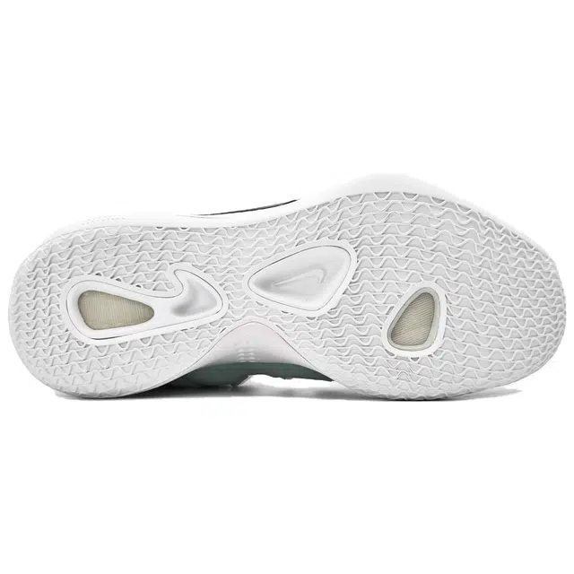 Nike Hyperdunk X low CP Zoom