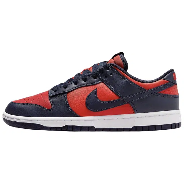 Nike Dunk Low CO.JP "City Attack"