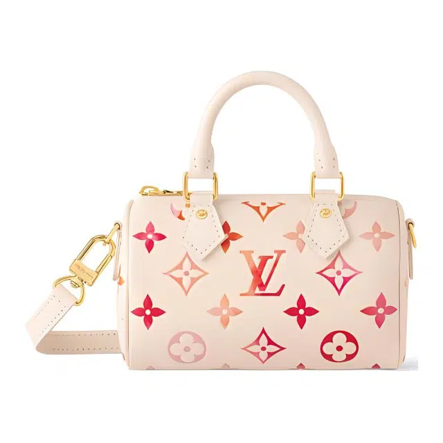 LOUIS VUITTON Nano Speedy