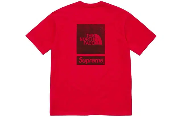 Supreme x THE NORTH FACE SS24 WEEK3 SS TOP logoT