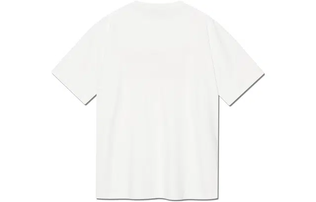 Lee T