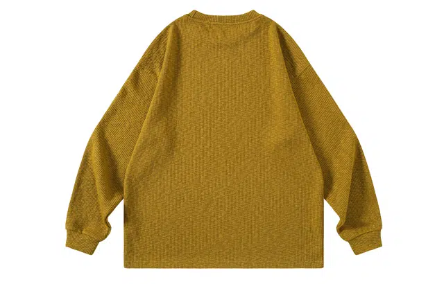 Saotome T