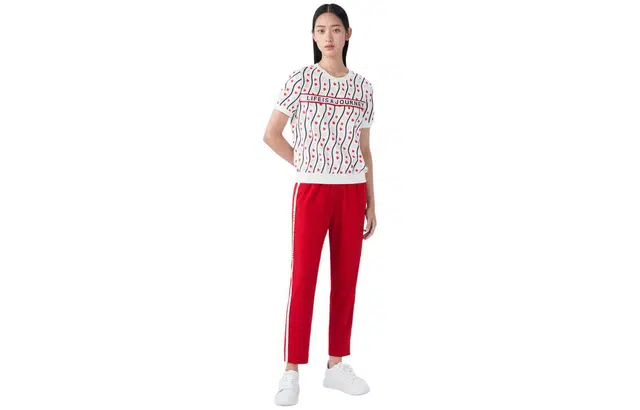 XII BASKET T