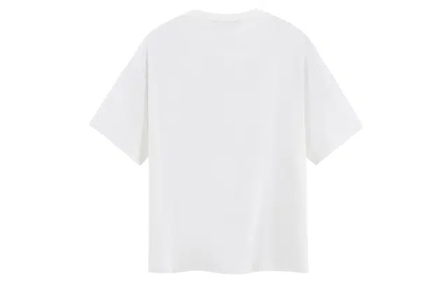 ICONS Lab T