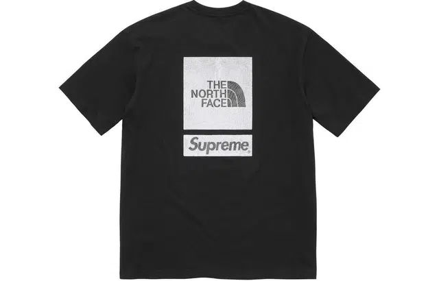 Supreme x THE NORTH FACE SS24 WEEK3 SS TOP logoT