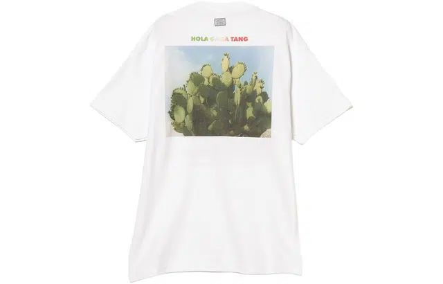 beams T