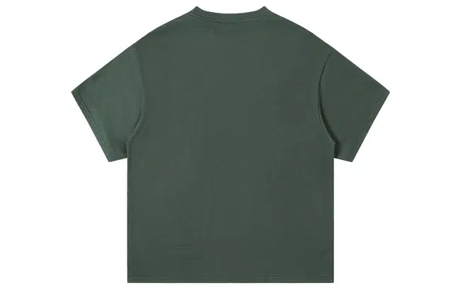 Saotome T