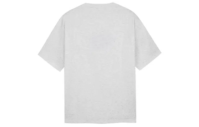 ICONS Lab T