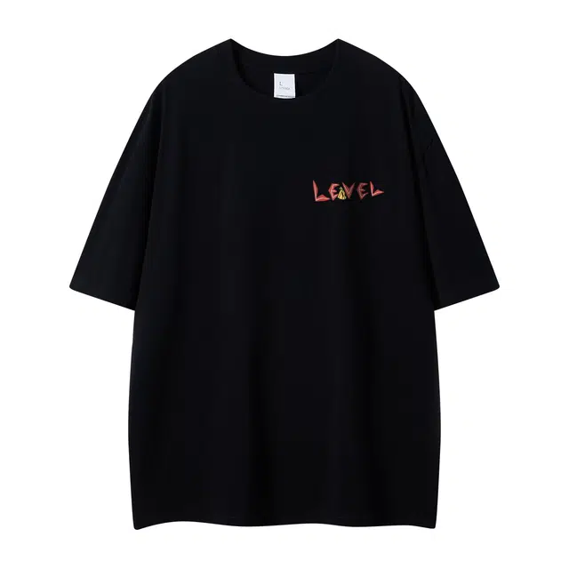 LEVEL T