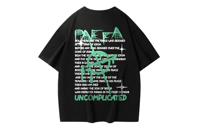PAEFA LogoT