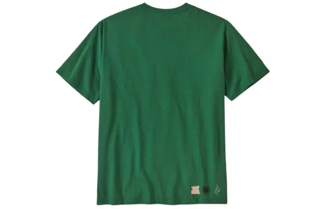 patagonia T