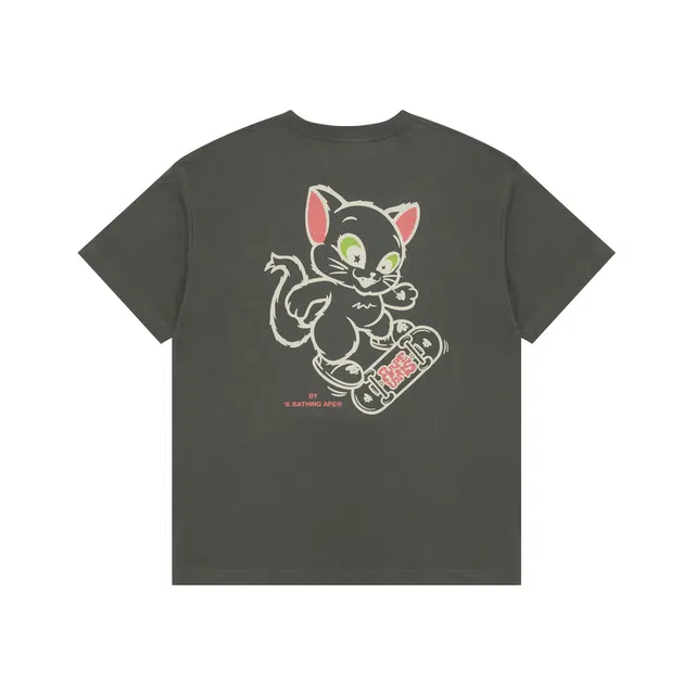 Aape T