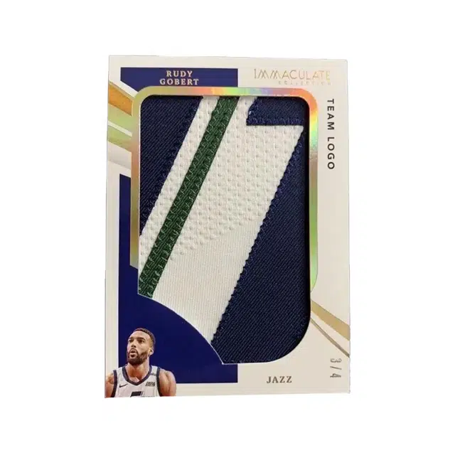 PANINI 2020-21 Immteamlogo PATCH 34 logo