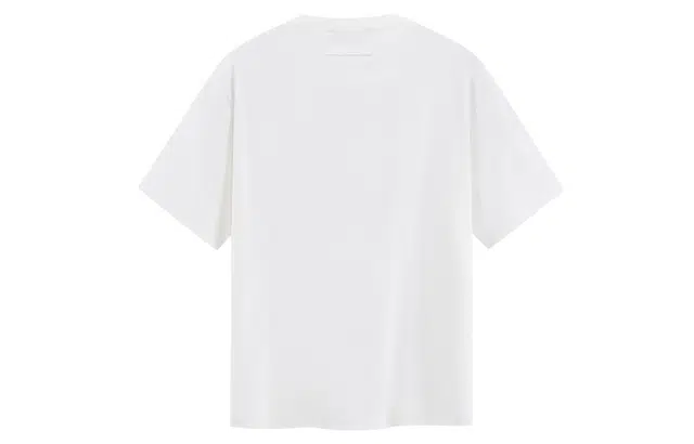 ICONS Lab T