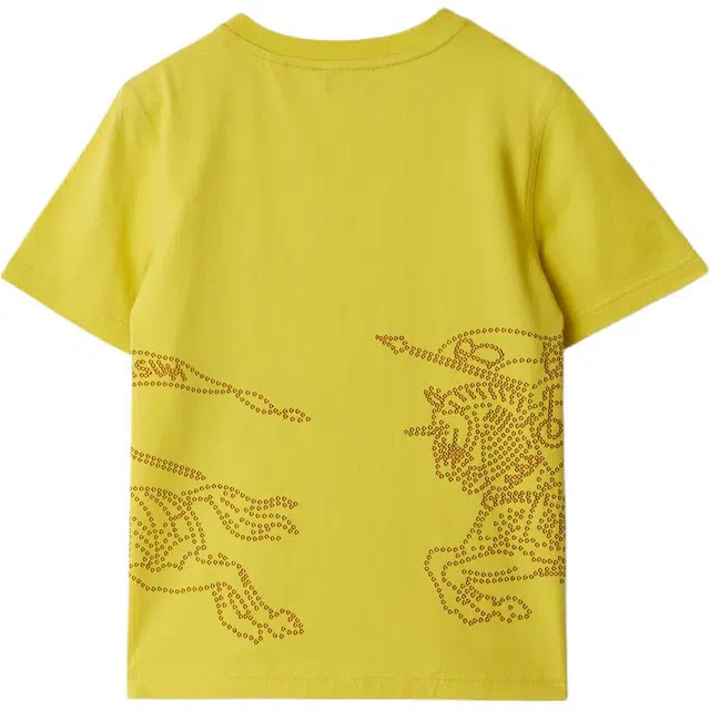 Burberry SS24 LogoT