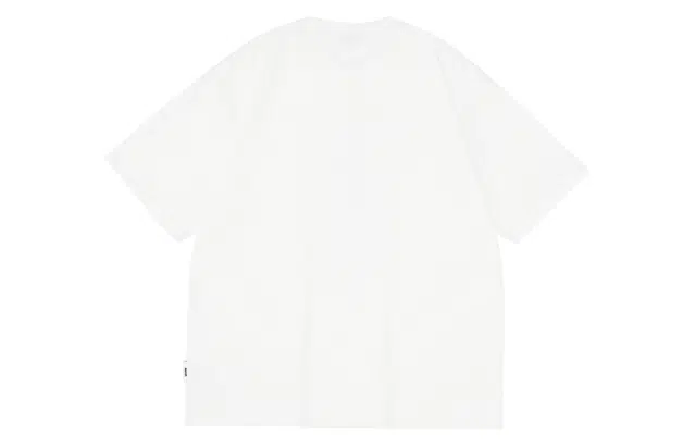 PCLP T