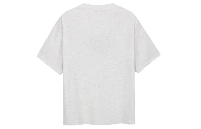 ICONS Lab T