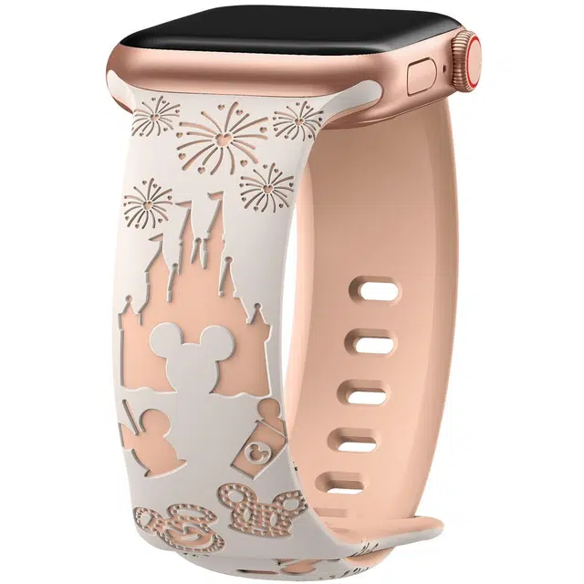 Applewatch S9S8SE7654321