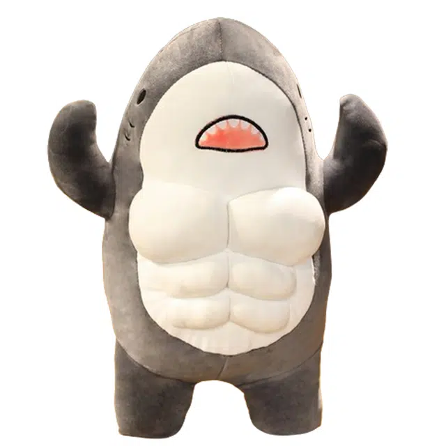 45cm60cm