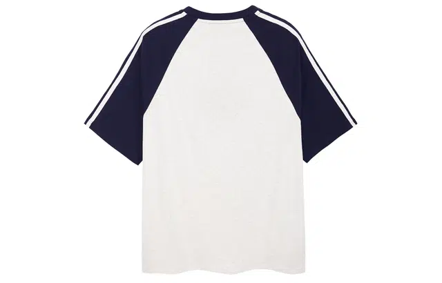 ICONS Lab T
