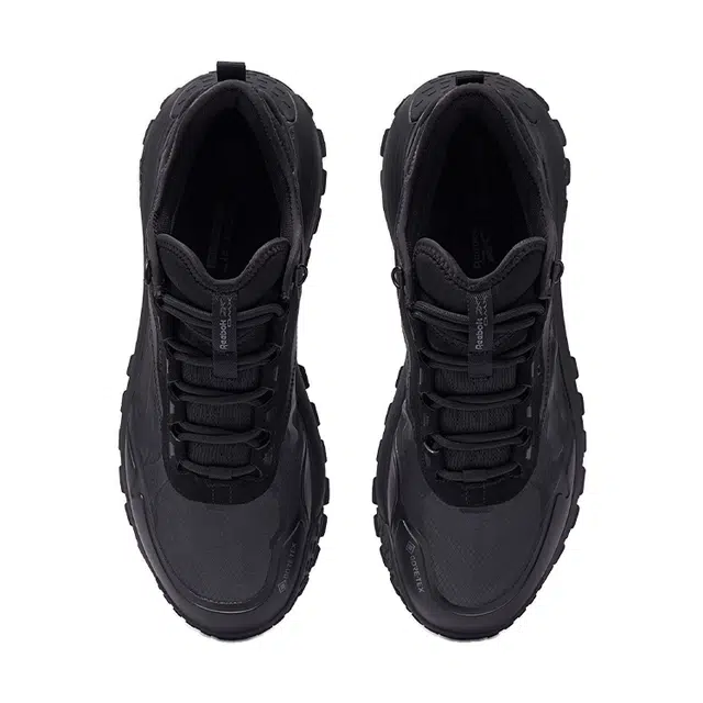 Reebok Dmx Trail GTX