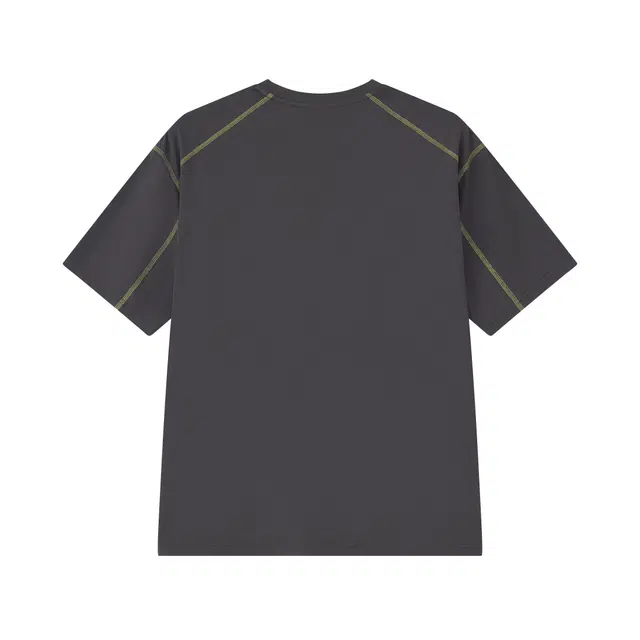 FENGXUELANG T