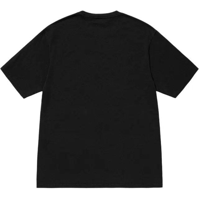 Stussy SS24 VENUS OVAL TEE PIGMENT DYED T