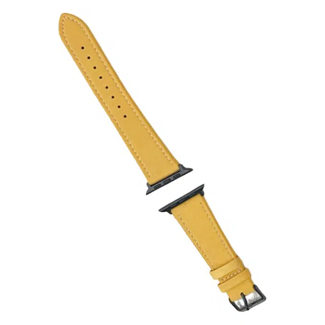 Applewatch S9S8SE7654