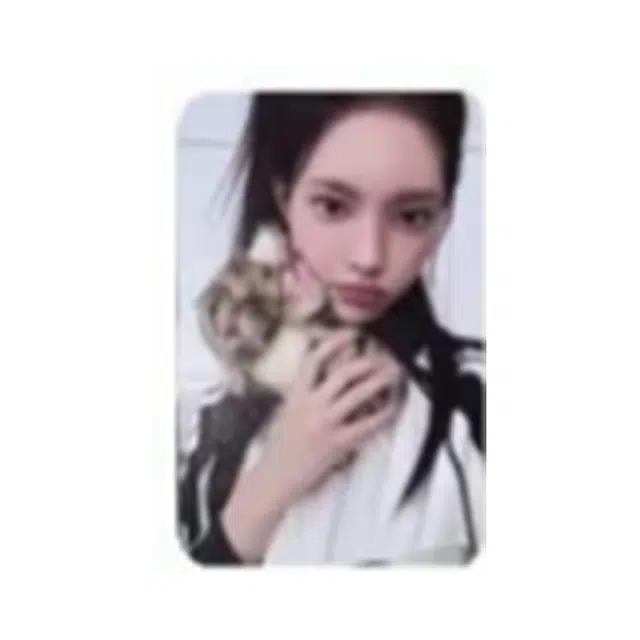 HYBE illit Real mewvs