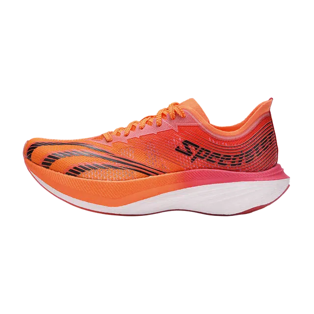 DO-WIN SE2 2024