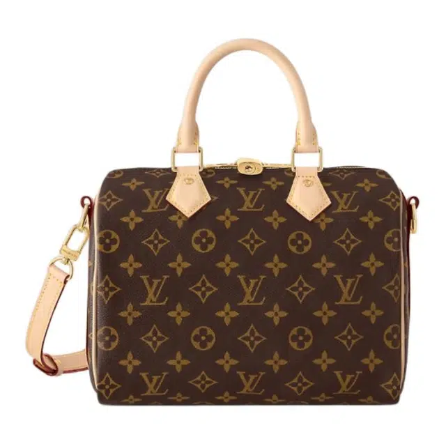 Louis Vuitton Speedy 25