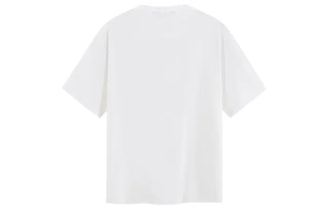 ICONS Lab T