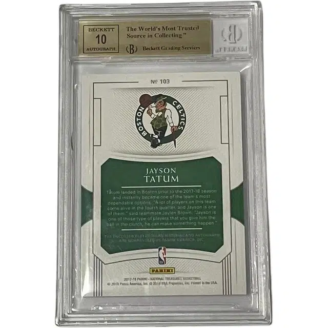 PANINI RPA BGS9.510 4299