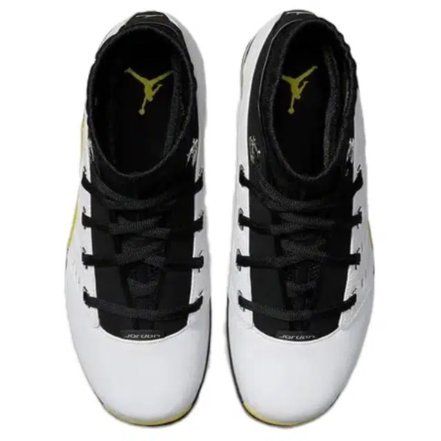 Jordan Air Jordan 17 Low SP Lighting