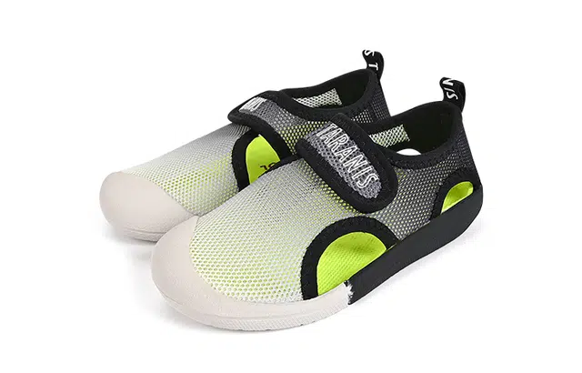 TARANIS