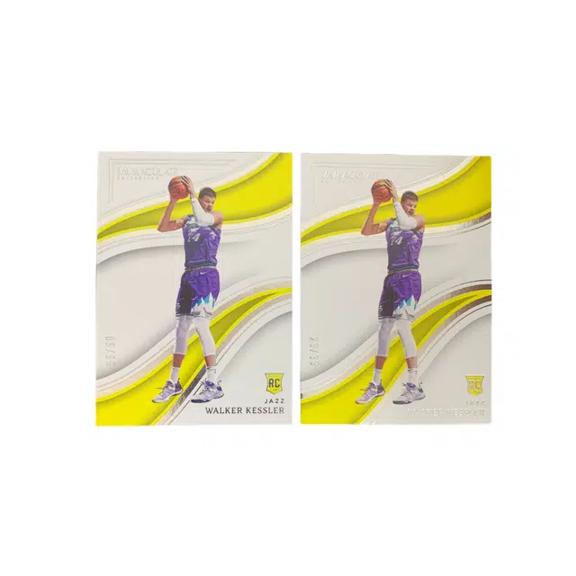 PANINI 2022-23 0599BASE+2399