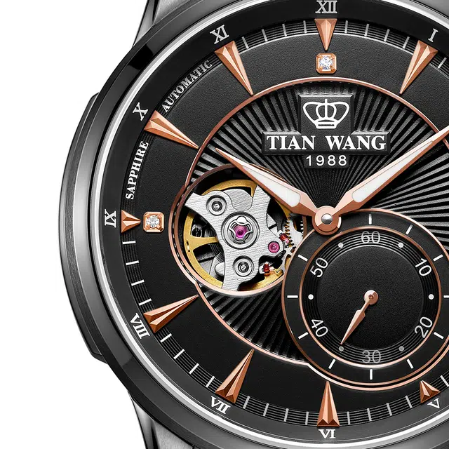 TIANWANG 5963