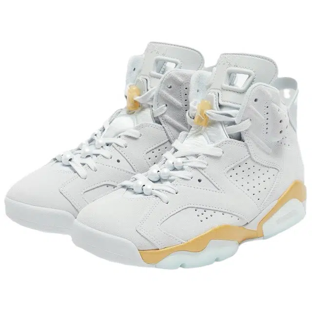 Jordan Air Jordan 6 Craft "Paris"