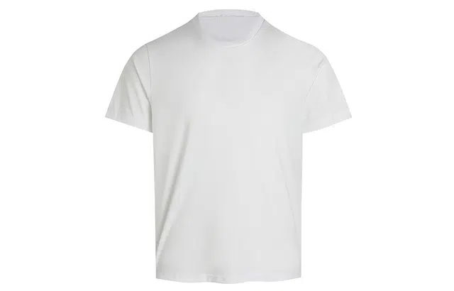 WHISTLEHUNTER T