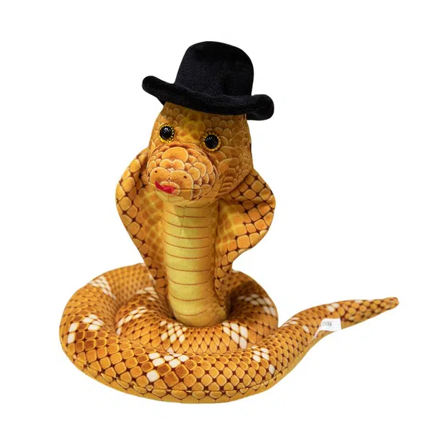 25cm