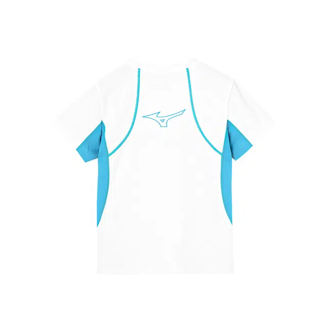Mizuno T
